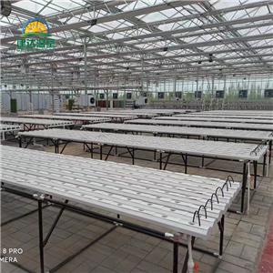 Hydroponic Greenhouse Project for Lettuce in the Middle East