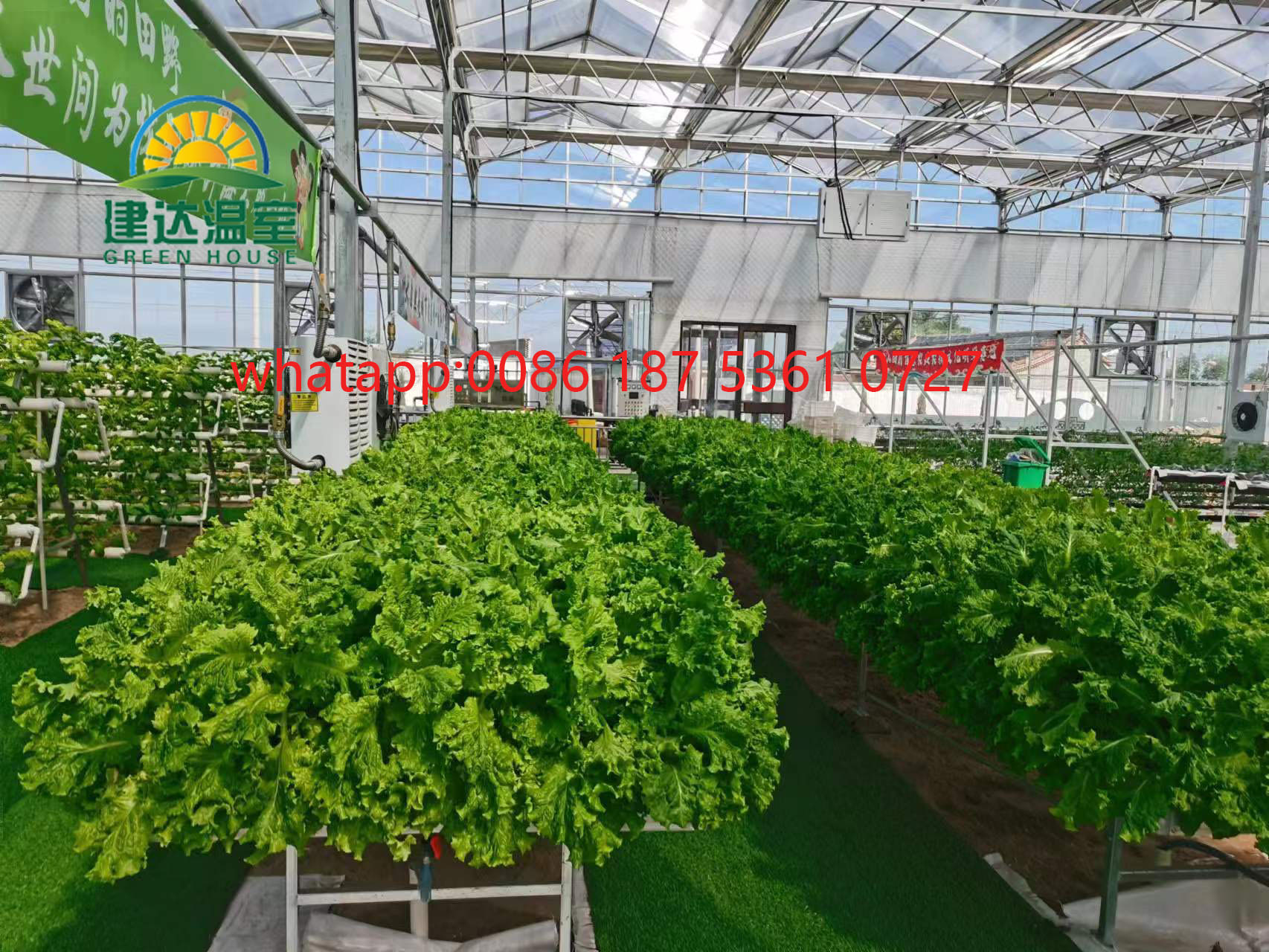 greenhouse construction