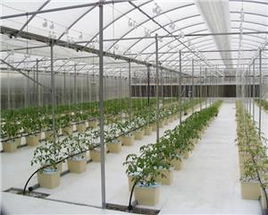 Case Study of Smart Irrigation Application in Greenhouse Vegetables in the Middle East