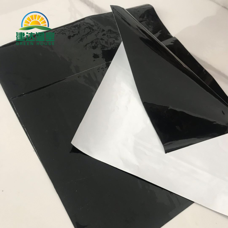 New Guides of Greenhouse Film for Modern Agricultural Cultivation