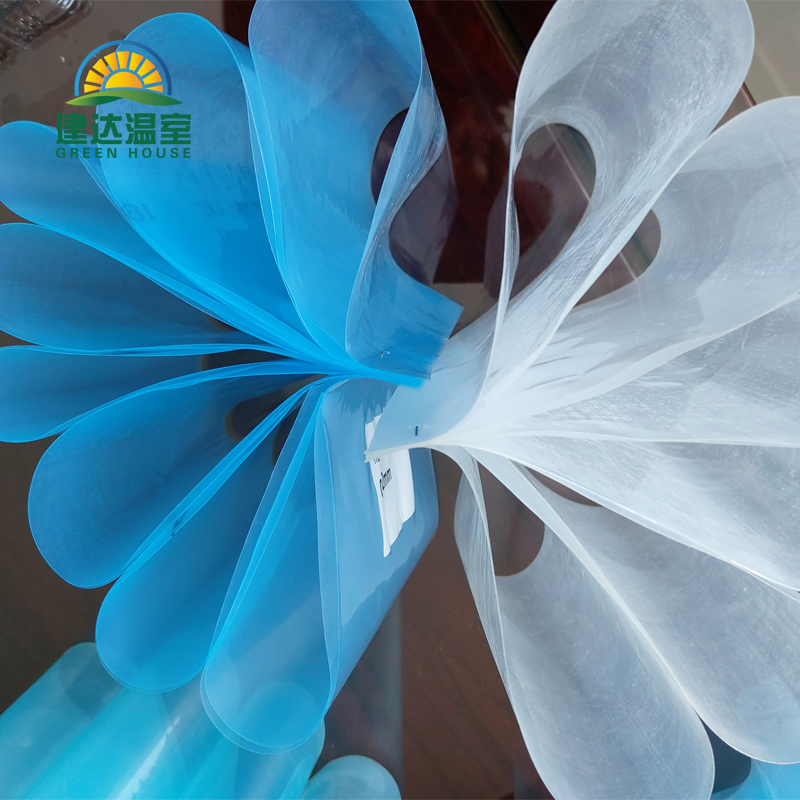 New Guides of Greenhouse Film for Modern Agricultural Cultivation