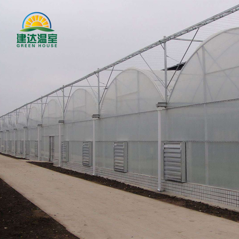 greenhouse film