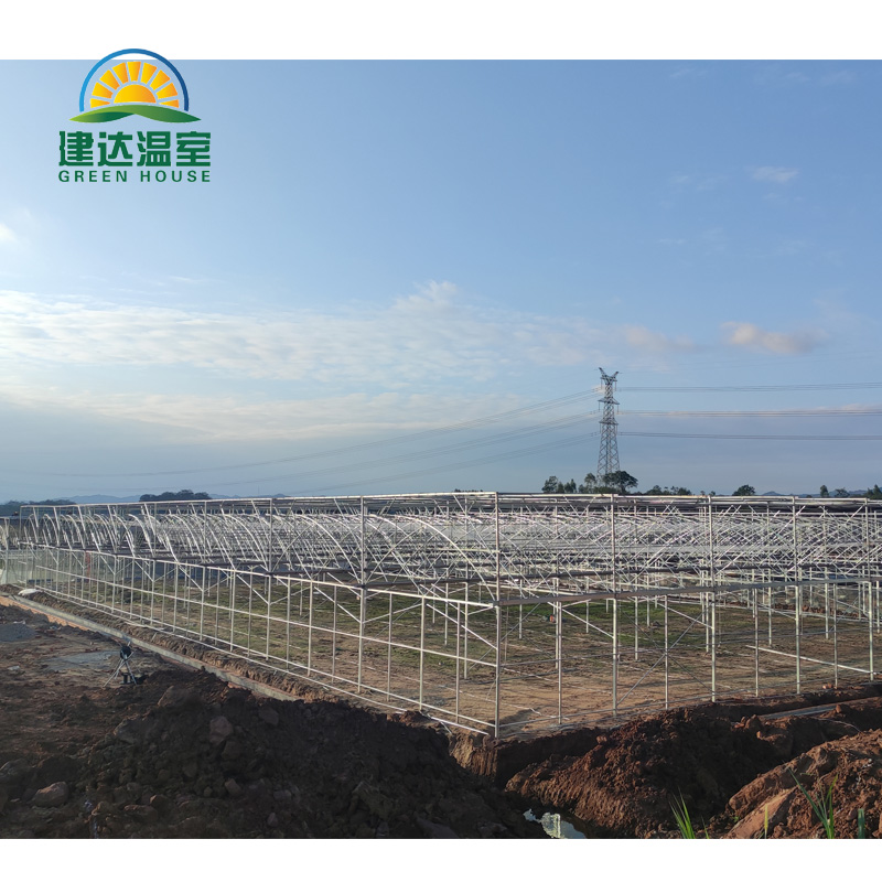 agricultural cultivation