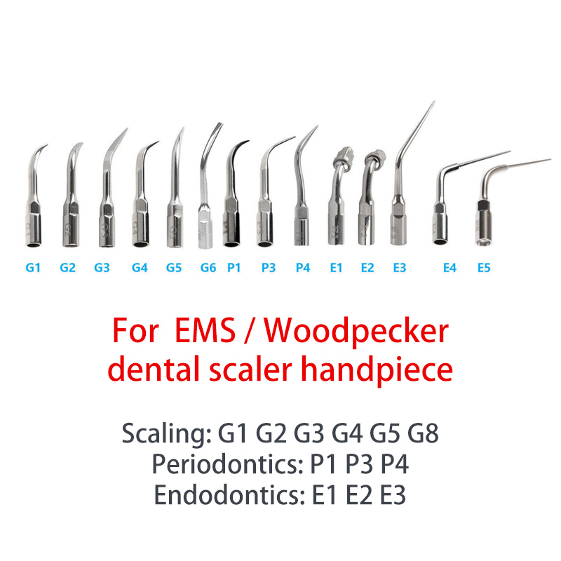 Manipolo E 5 Inserti Per Ablatore Ultrasonico Dentale – Compatibile EMS WOODPECKER