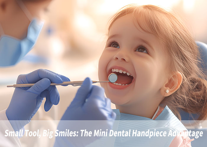 Small Tool, Big Smiles: The Mini Dental Handpiece Advantage