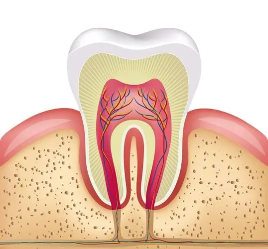 endodontic files