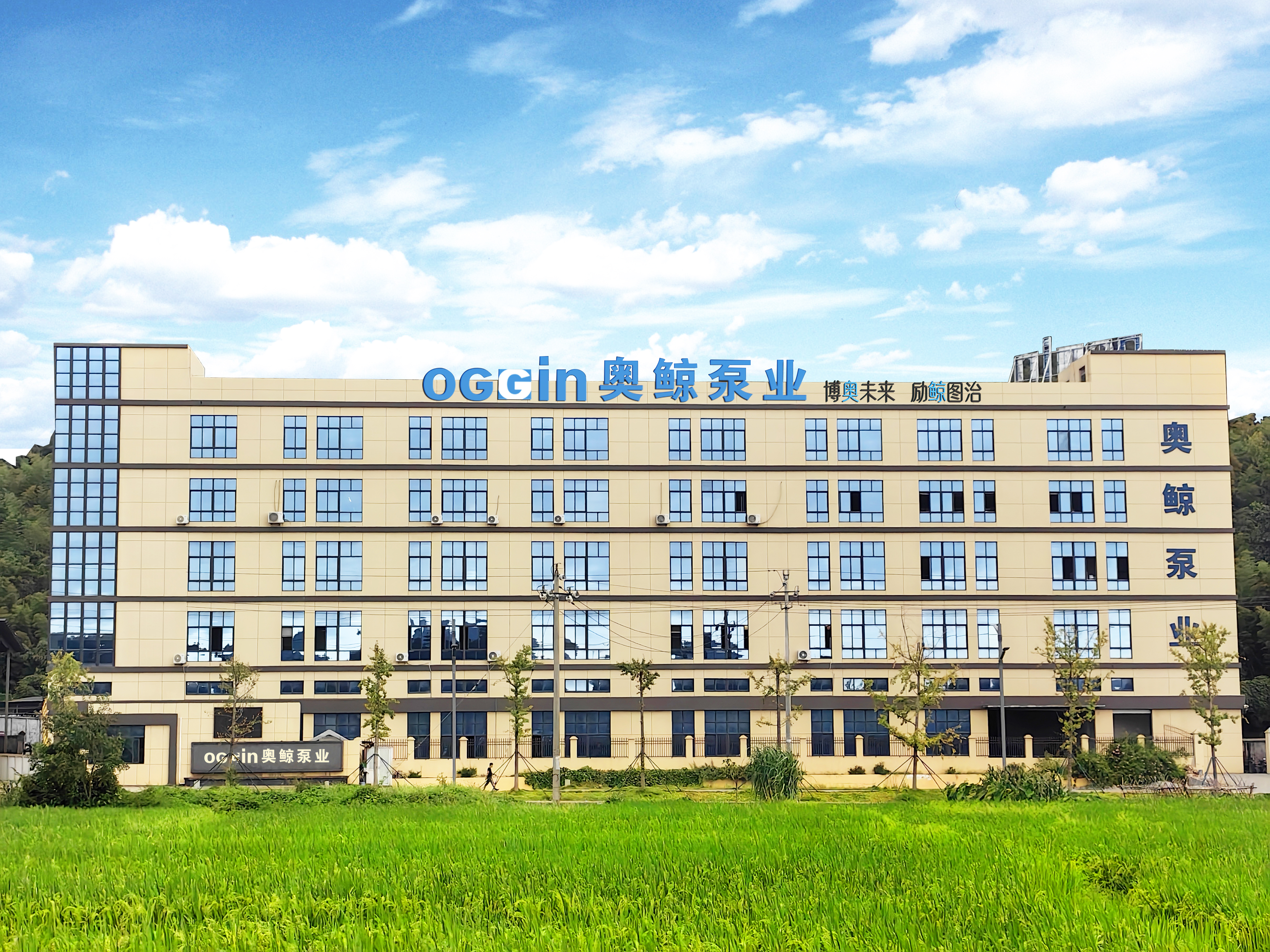 PW Pompa Small Electric Automatic Pressurized Shower High Pressure Booster Water Pump for Home Self Priming Pump