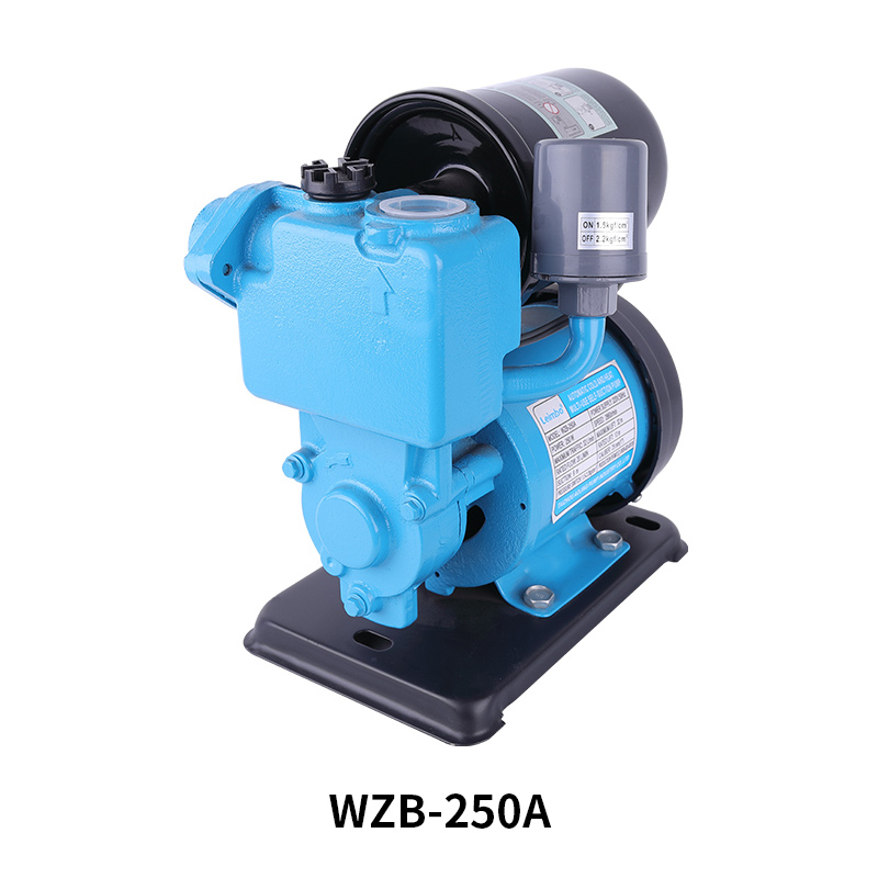 WZB-250A Automatic control low-noise self-priming pump
