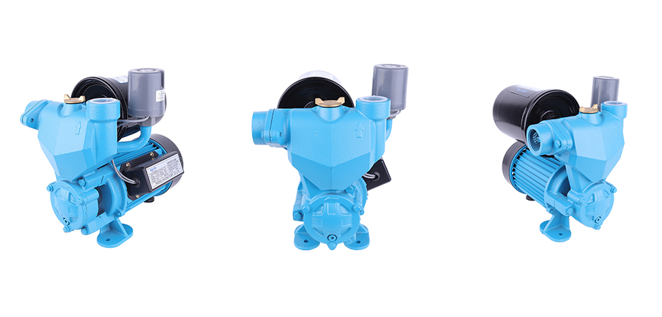 Intelligent self-priming pumps