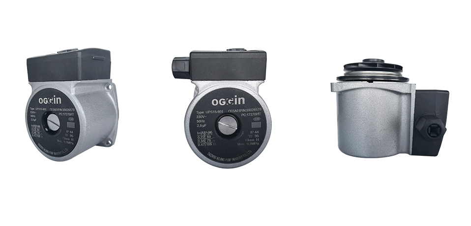 Sealed Brushless Boiler Motor