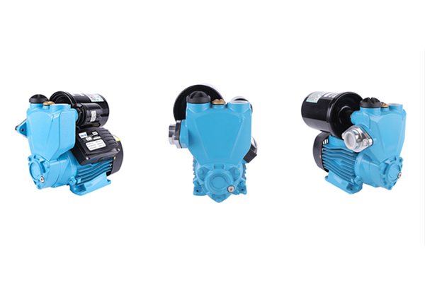 Common Issues with Self-priming Pump