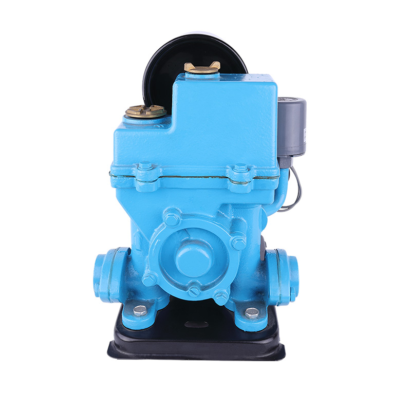 PHJ-550A Durable Structure Stainless Steel Frequency Conversion Self-priming Pump