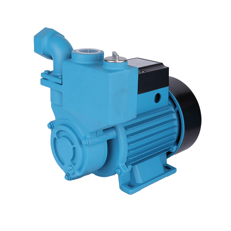 1WZB-65 Explosion-proof vacuum-assisted self-priming pumps