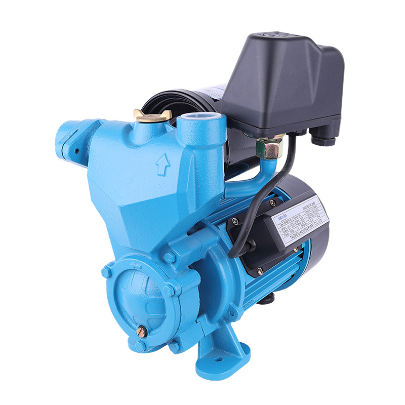 WZB-1100 Self-prim Pump Irrigation System Centrifugal Agriculture Electric Water Pump