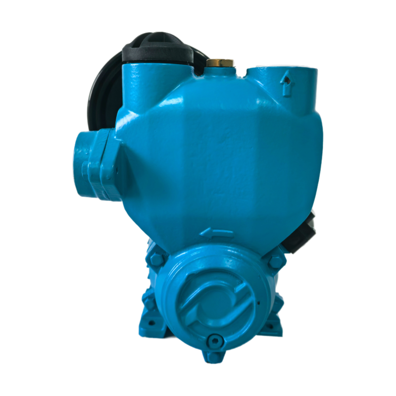 PW-J 1 Inch Self-Priming Water Pump for Home Water Pressure Boosting in Multi-Story Buildings