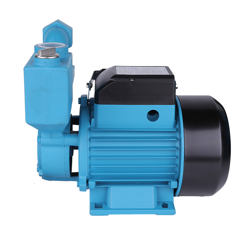 1WZB-65 Explosion-proof vacuum-assisted self-priming pumps