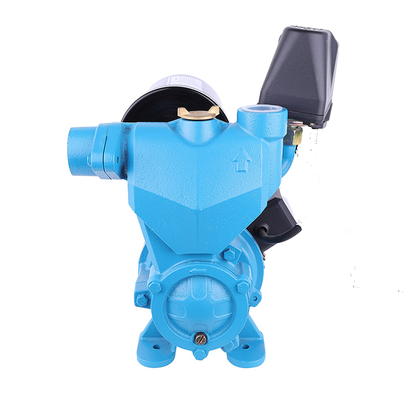 WZB-1100 Self-prim Pump Irrigation System Centrifugal Agriculture Electric Water Pump