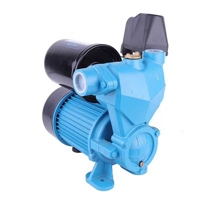 WZB-1100 Self-prim Pump Irrigation System Centrifugal Agriculture Electric Water Pump
