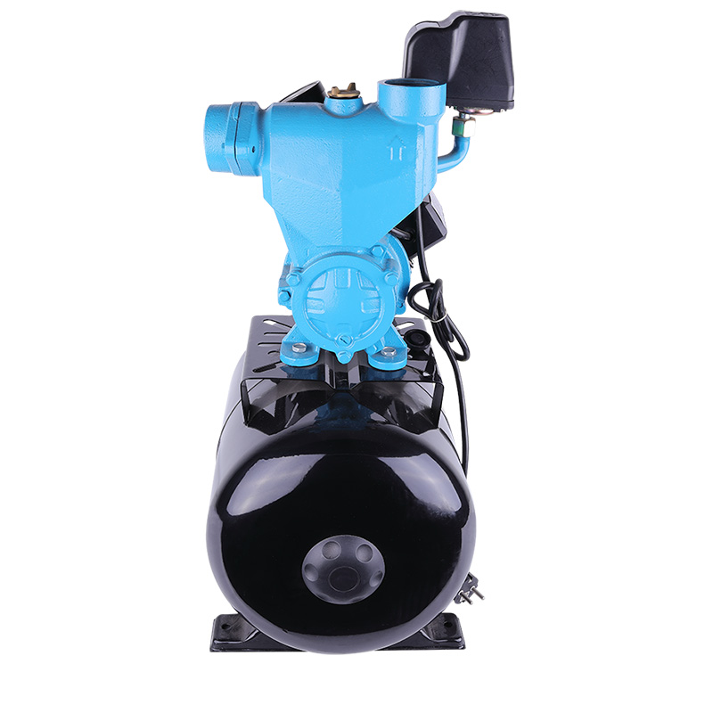 WZB1100-24L Direct-connected Self-prim Pump Irrigation System Centrifugal Agriculture Electric Water Pump