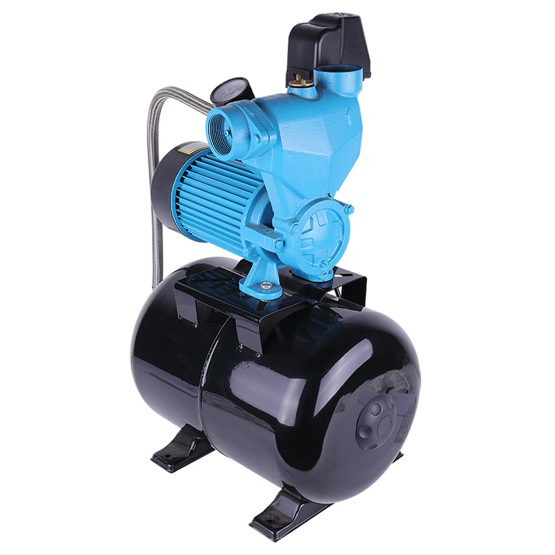 WZB1100-24L Direct-connected Self-prim Pump Irrigation System Centrifugal Agriculture Electric Water Pump