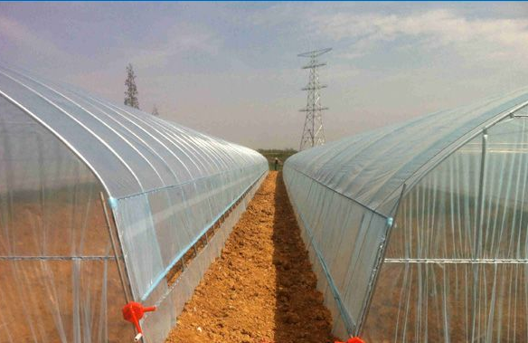 best small greenhouse