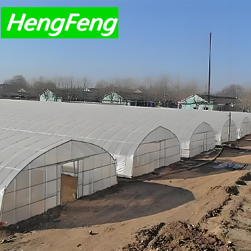 mini green house，5mx10m mini green house