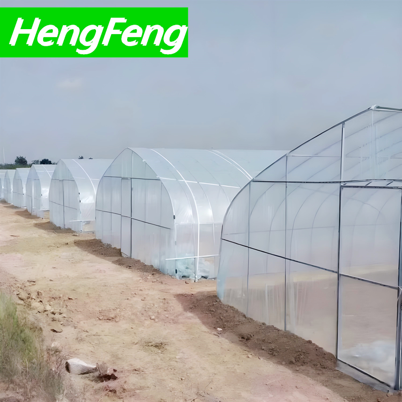 8x10 greenhouse，tunnel greenhouse