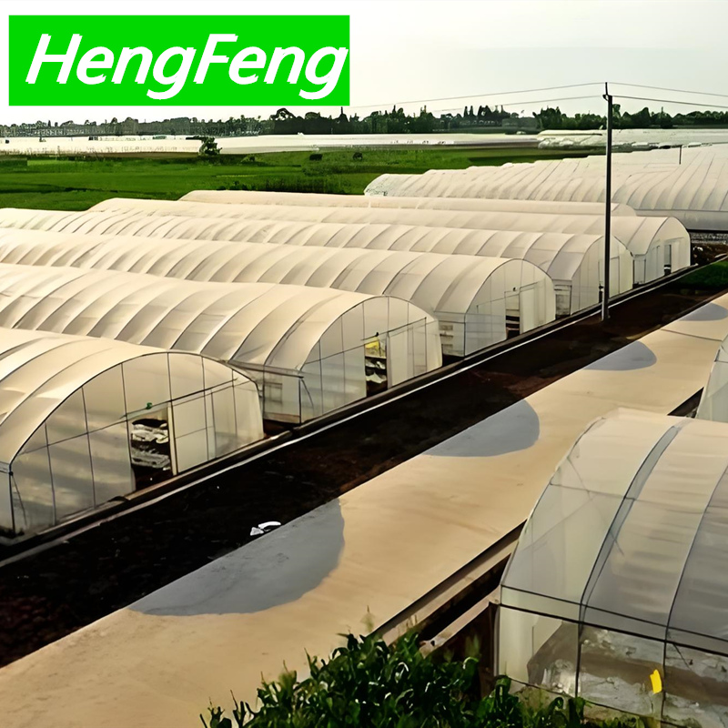 8x10 greenhouse，tunnel greenhouse