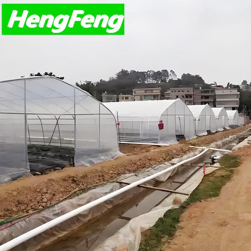 10x20 greenhouse