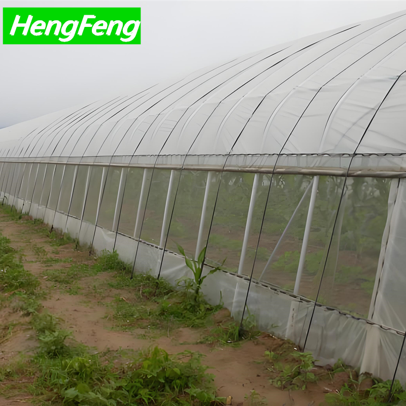 poly tunnel greenhouse