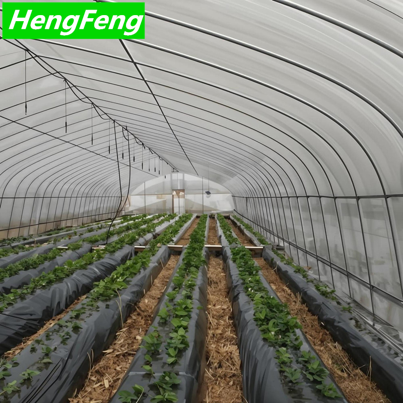 single span greenhouse