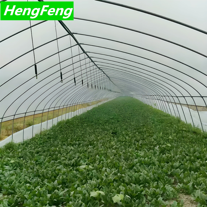 tunnel greenhouse