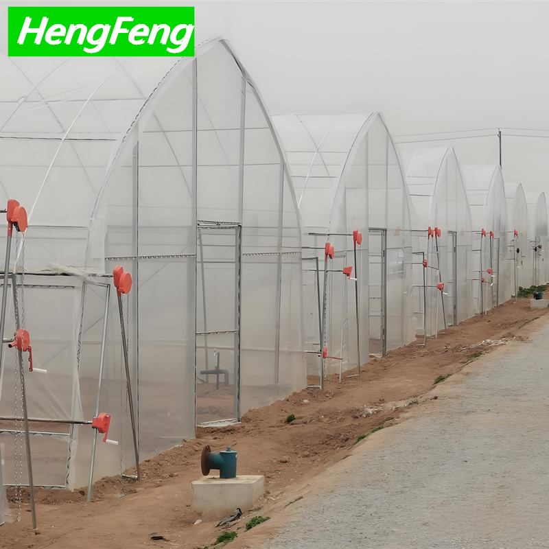 tunnel greenhouse
