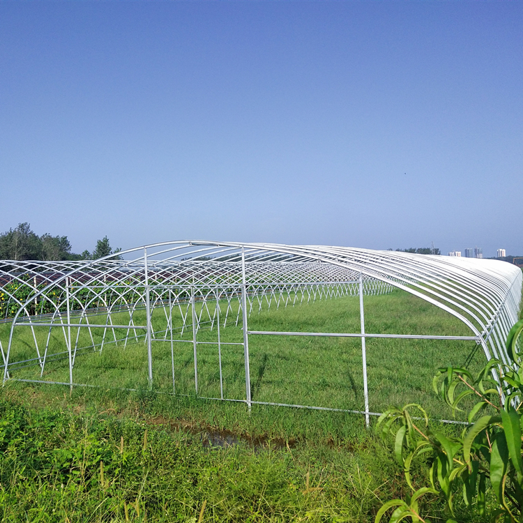 single span greenhouse