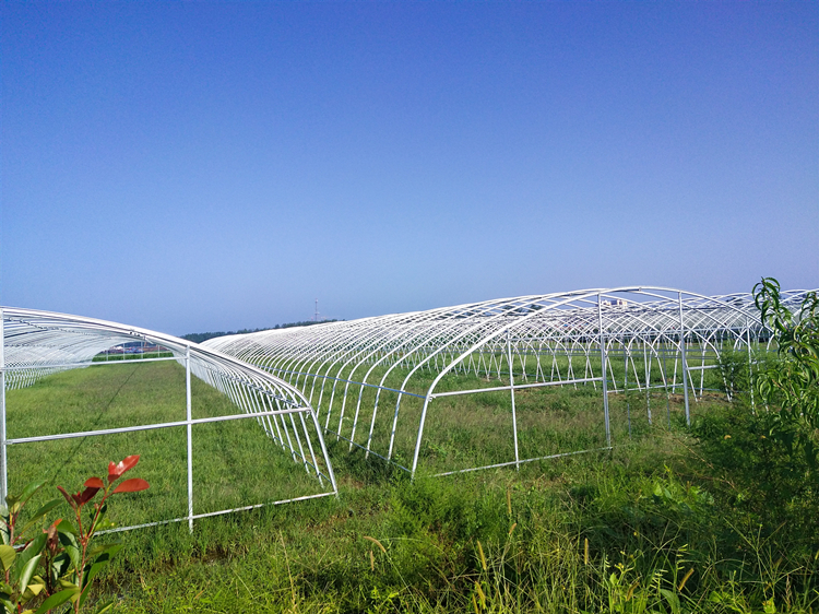 film greenhouse