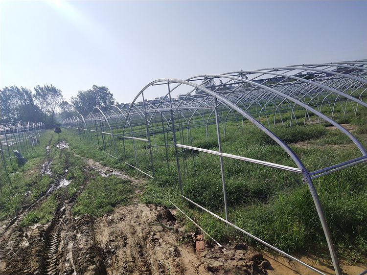 small polytunnel
