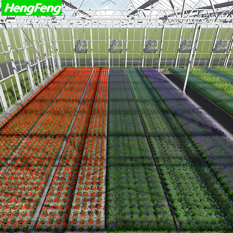 Acquista produttori di serre,produttori di serre prezzi,produttori di serre marche,produttori di serre Produttori,produttori di serre Citazioni,produttori di serre  l'azienda,
