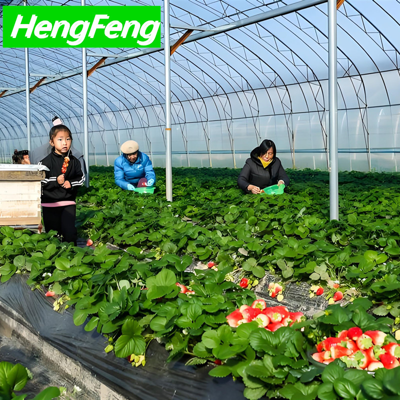 agriculture greenhouse