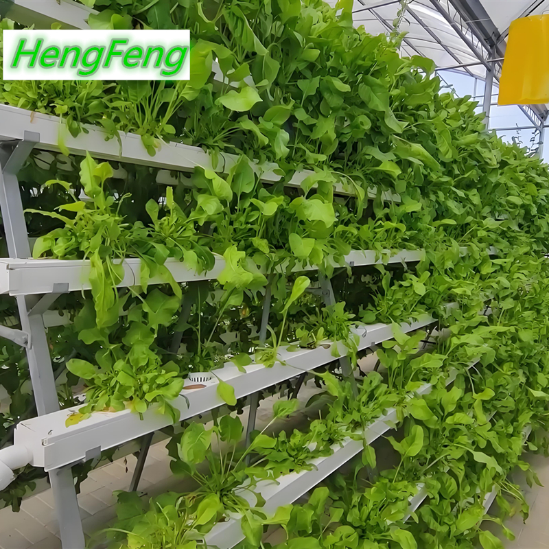 vegetable greenhouse