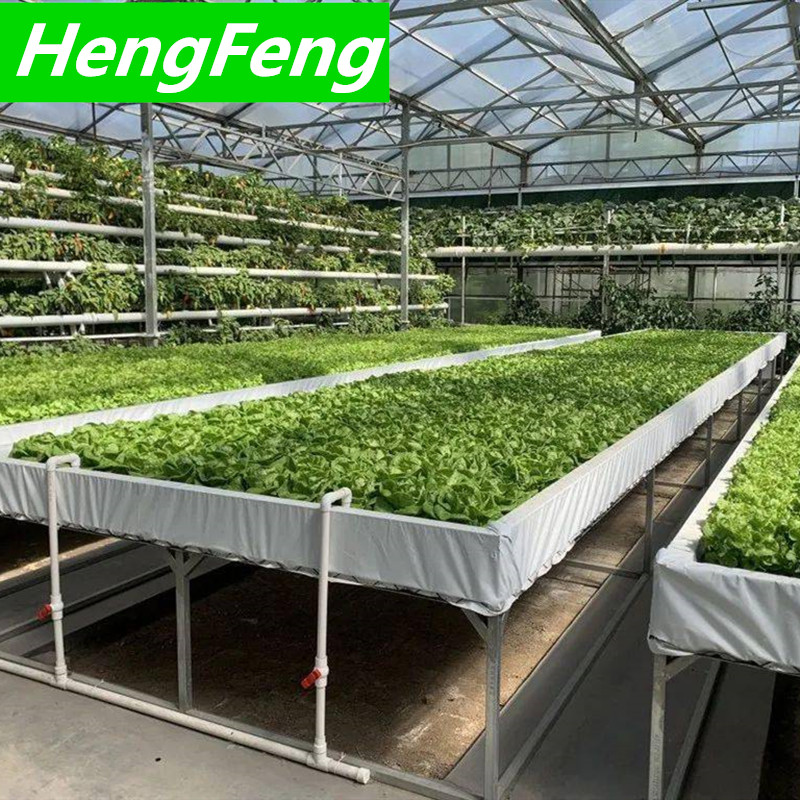 glass greenhouse