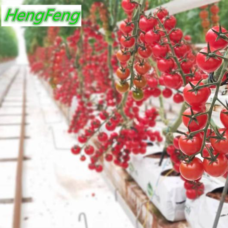 film greenhouse