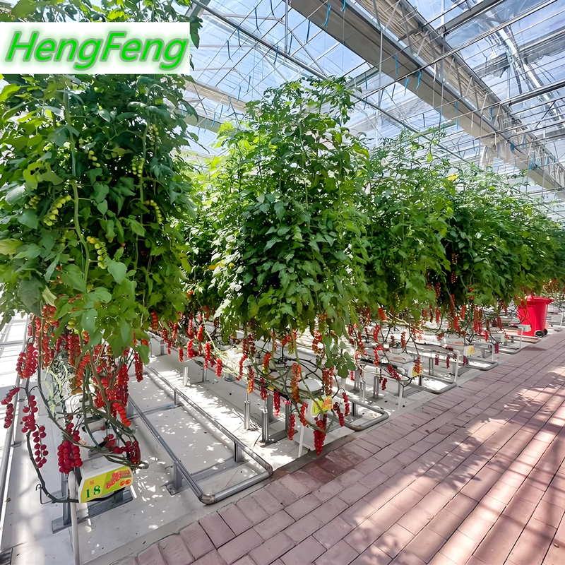 glass greenhouse