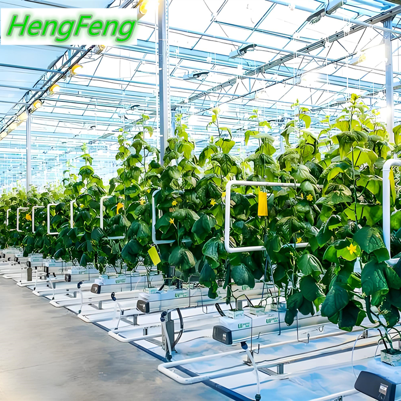 glass greenhouse