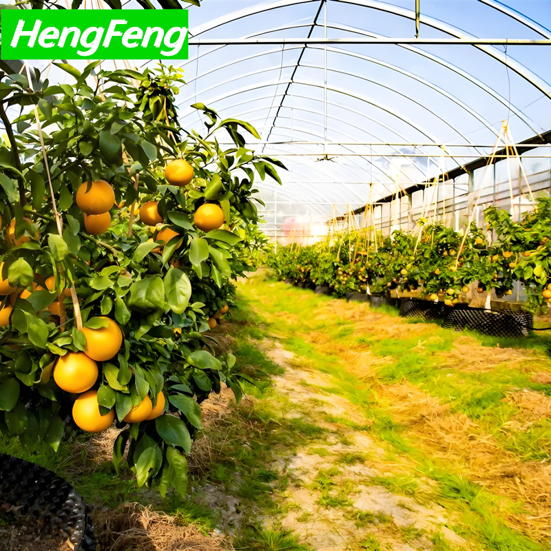 orangerie greenhouse