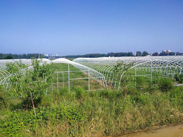 best small greenhouse