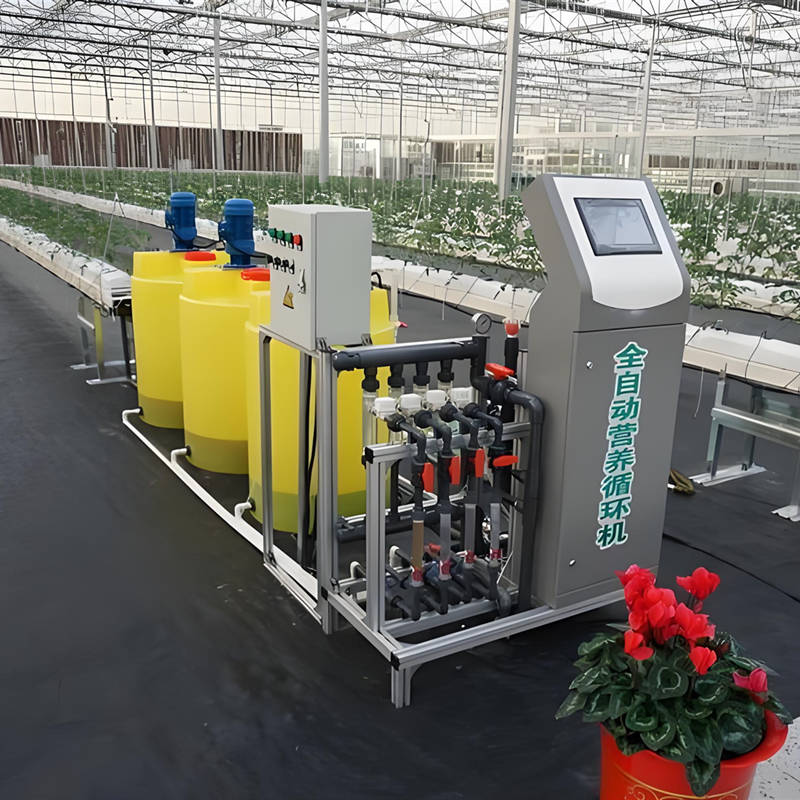 year round greenhouse