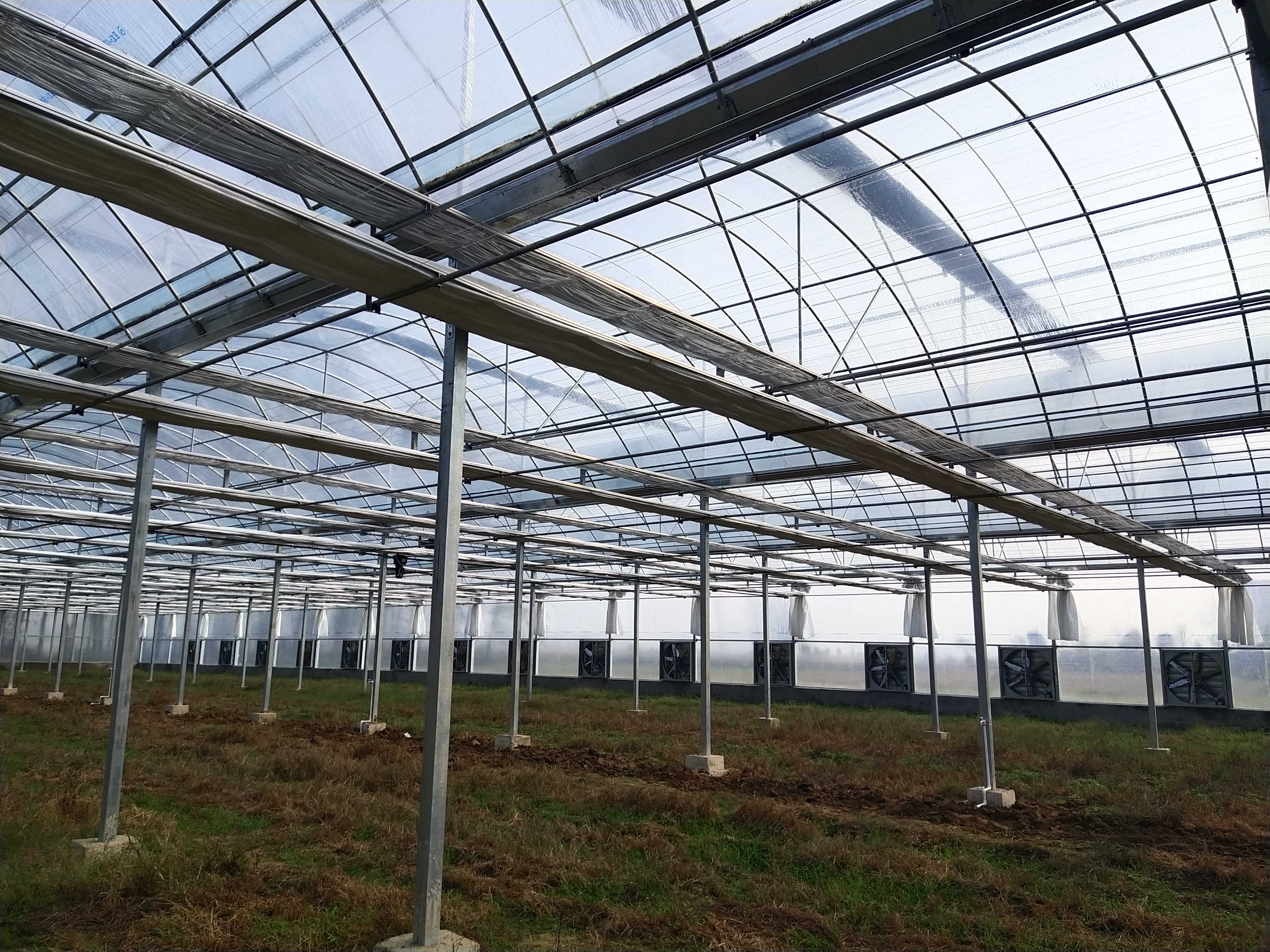 plastic green house
