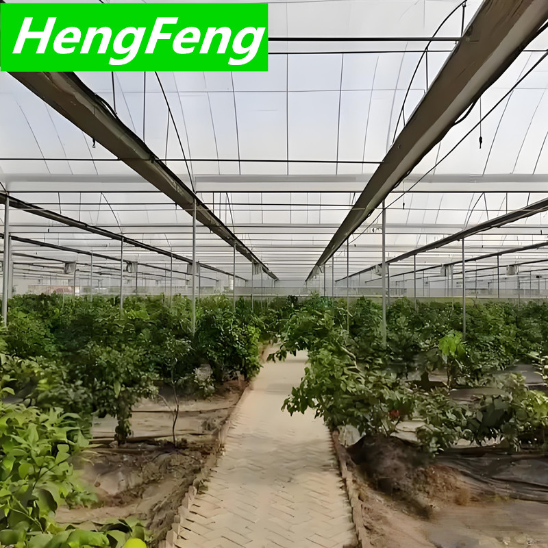 orangery greenhouse multispan film greenhouse