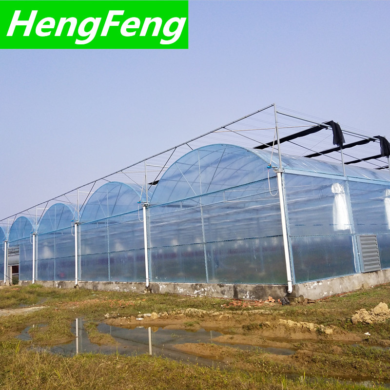 orangery greenhouse