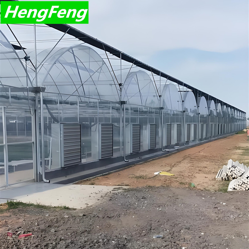 plastic green house total area can customize